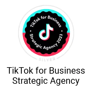 Readyplanet TikTok for Business Strategic Agency